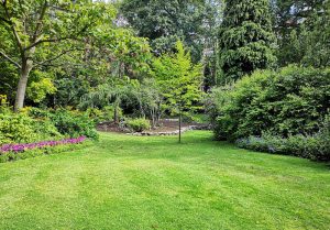 Optimiser l'expérience du jardin à Forest-Saint-Julien